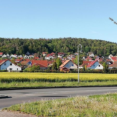 Ferienwohnung 40Qm Gernrode Gernrode  Екстер'єр фото